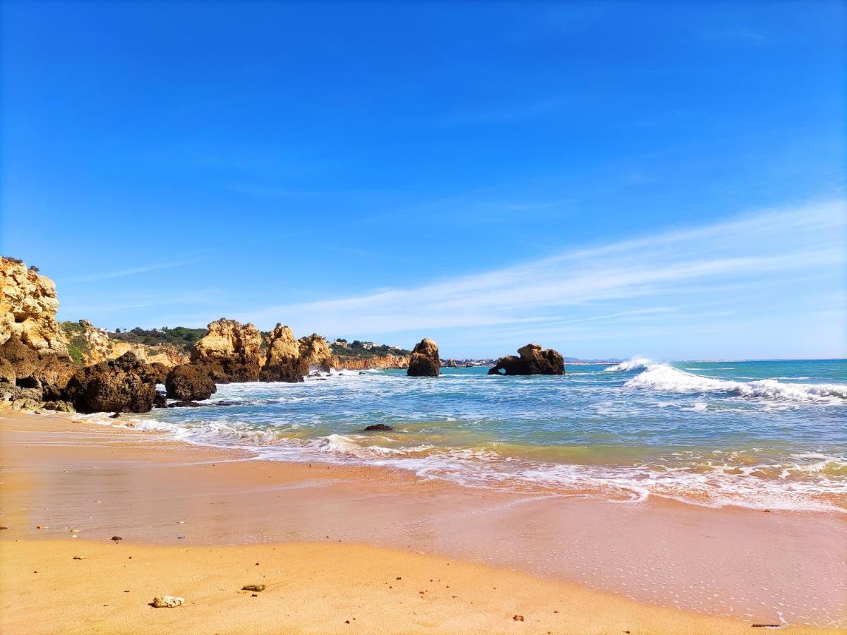 Beach Condo With Atlantic Ocean View By Becherish 奥霍斯德古阿 外观 照片